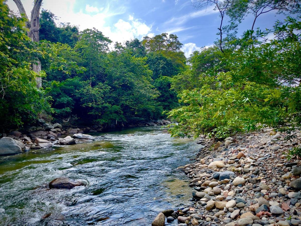 Tayrona Suites Эль-Саино Экстерьер фото